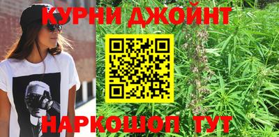 стаф Будённовск