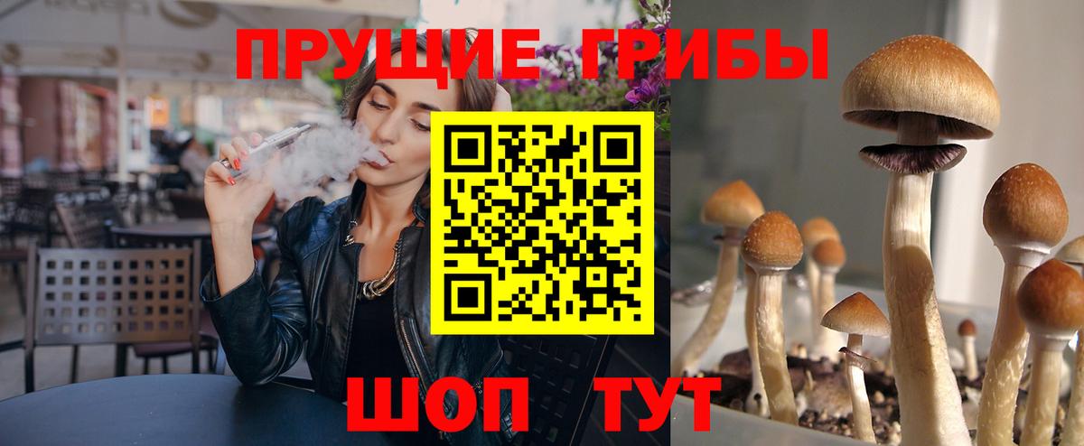 Первоуральск  Галлюциногенные грибы ЛСД  Вход с VPN 